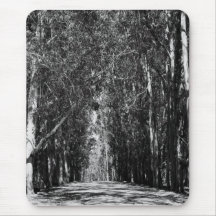 Road In A Park Mousepad