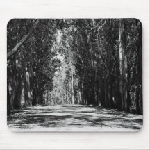 Road In A Park Mousepad