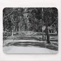 Road In A Park Mousepad