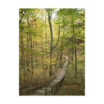 Road Less Traveled Postcard