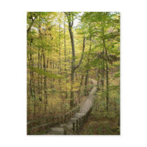 Road Less Traveled Postcard