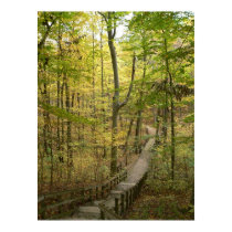 Road Less Traveled Poster posters
