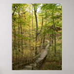 Road Less Traveled Poster