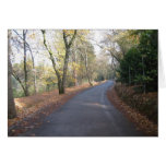 road of serenity