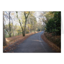 road of serenity cards