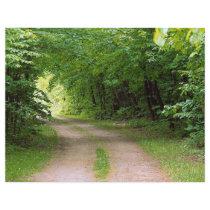 Road of the Opeonga Trail, Ontario from the Forest Flyers