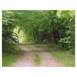 Road of the Opeonga Trail, Ontario from the Forest flyers