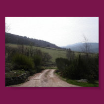 Road posters