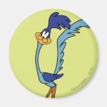 Road Runner Color Magnets