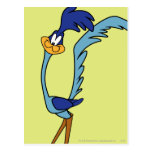 Road Runner Color Post Cards