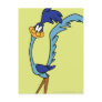 Road Runner Color Post Cards