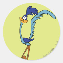 Road Runner Color Round Sticker