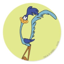 Road Runner Color Round Sticker