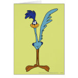 Road Runner in Color Greeting Cards