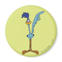 Road Runner in Color Refrigerator Magnets