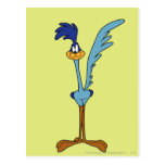 Road Runner in Color Post Cards
