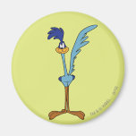 Road Runner in Color Refrigerator Magnets