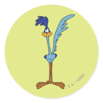 Road Runner in Color Round Sticker