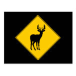 Road Sign- Deer Postcard