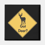 Road Sign- Got Deer? Magnet