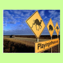 Road Sign Postcard postcards