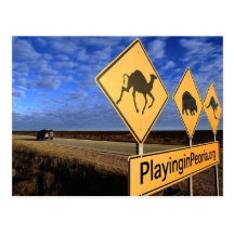 Road Sign Postcard
