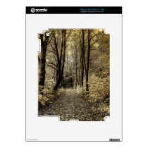 Road through the forest skins