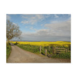 "Road to Beach at Alnmouth" Post Card