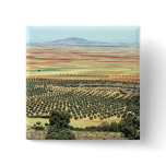 Road to Ciudad Real from Orgaz, Castilla-La Mancha buttons