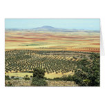Road to Ciudad Real from Orgaz, Castilla-La Mancha cards