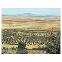 Road to Ciudad Real from Orgaz, Castilla-La Mancha Flyer Design