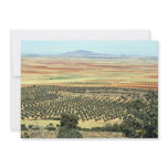 Road to Ciudad Real from Orgaz, Castilla-La Mancha Custom Announcement