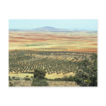 Road to Ciudad Real from Orgaz, Castilla-La Mancha Postcard