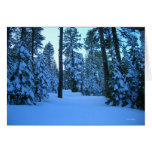 Road to Hager Mountain Fire Lookout cards