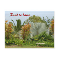 Road to hana postcards