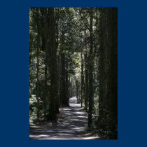 Road to O'Reillys Plateau posters by lesleyworld Road to O'Reillys Plateau posters