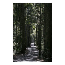 Road to O'Reillys Plateau posters by lesleyworld Road to O'Reillys Plateau posters