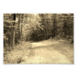 Road Travels 5x7 Photographic Print