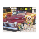 ROAD TRIP! postcards