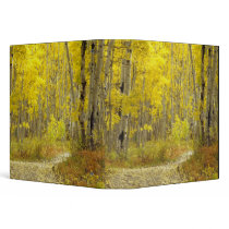 Road with autumn colors and aspens in Kebler 2 Binders