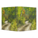 Road with autumn colors and aspens in Kebler binders
