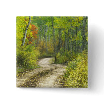 Road with autumn colors and aspens in Kebler Pinback Buttons