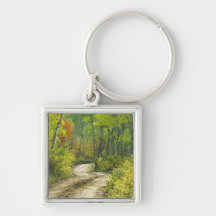 Road with autumn colors and aspens in Kebler Key Chains