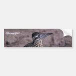 Roadrunner Bumper Sticker