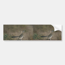 Roadrunner Bumper Sticker
