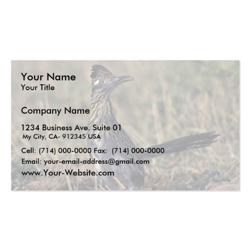 Roadrunner Business Card Template (front side)