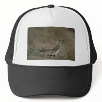 Roadrunner Hat
