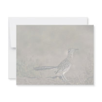 Roadrunner Custom Announcements