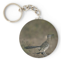 Roadrunner Key Chains