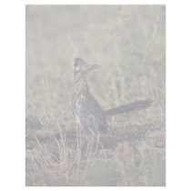 Roadrunner Customized Letterhead